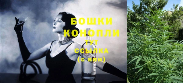 прущие крисы Каменногорск