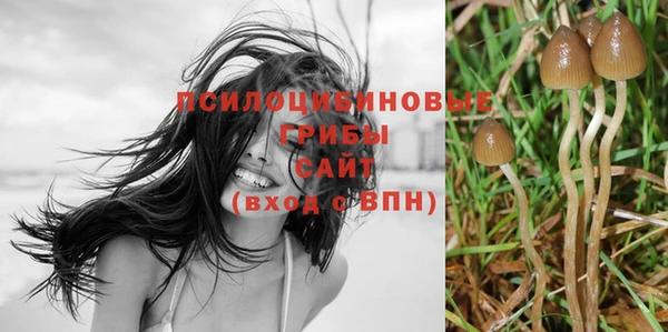 первитин Каменка