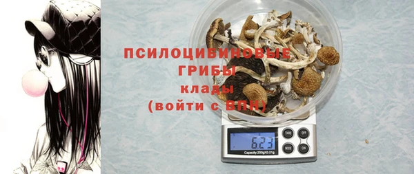экстази Карпинск