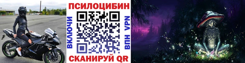 купить наркоту  Кувшиново  Галлюциногенные грибы MAGIC MUSHROOMS 